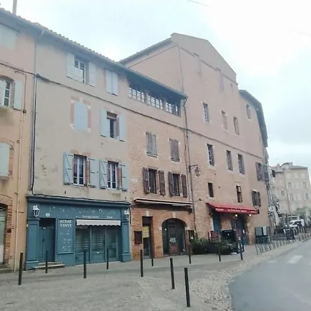 L'Archeveche, A 30M De La Cathedrale, Cosy, 2P Albi